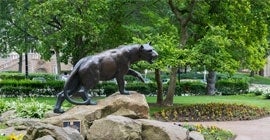 Panther statue surrounded by trees